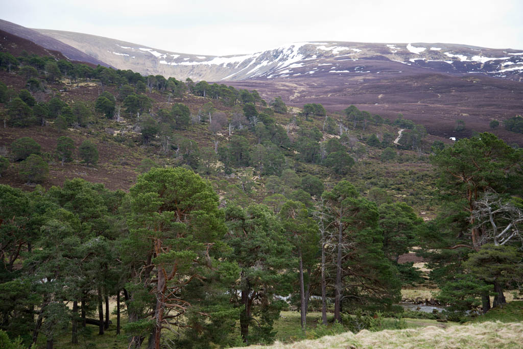 view from the estate in mid April 2015 showing the low level of snow left